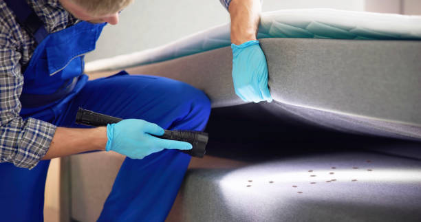 Professional Pest Control in Gurnee, IL