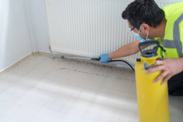 Best Residential Pest Control  in Gurnee, IL